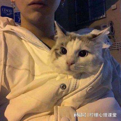 fate oath游戏下载