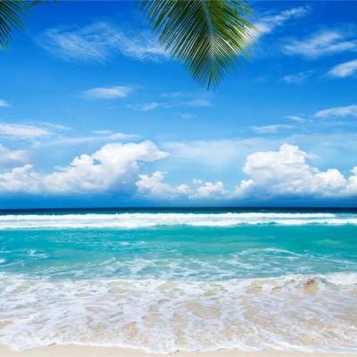 一桶浆糊百度版下载